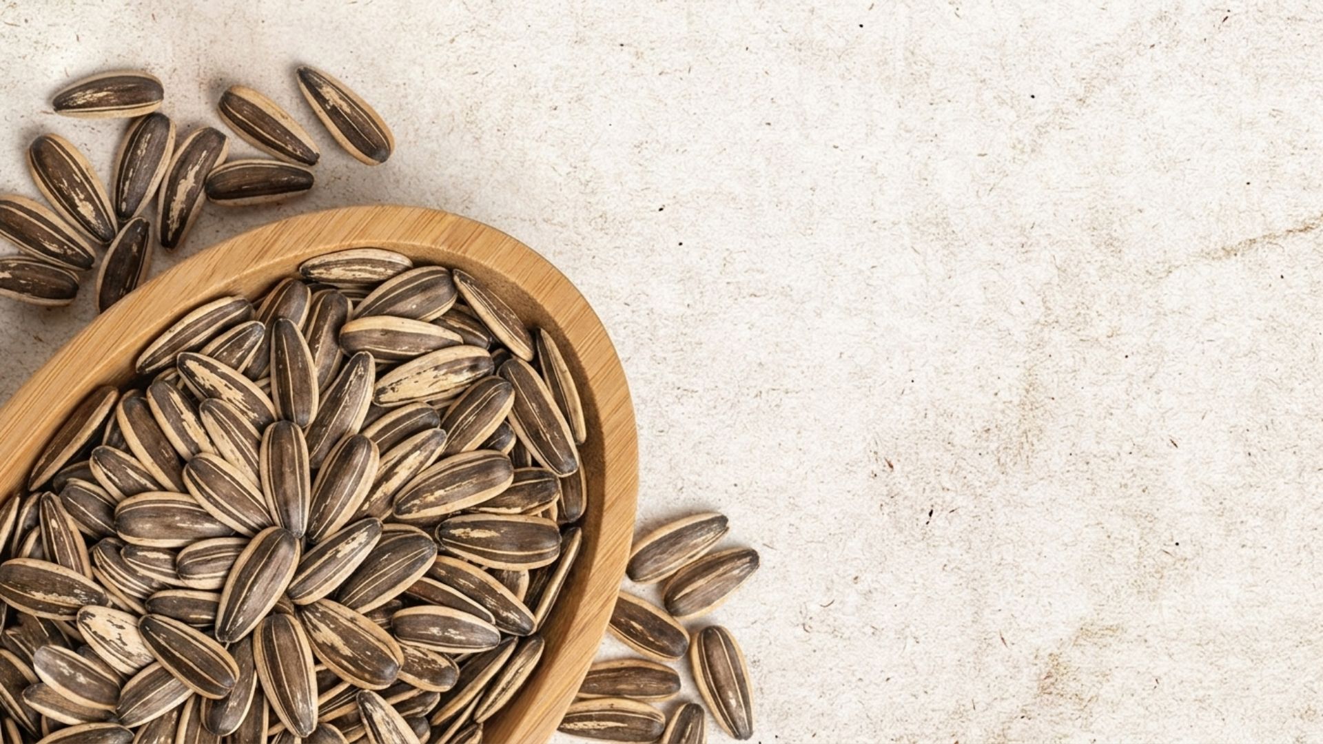 High-quality raw and processed sunflower seeds